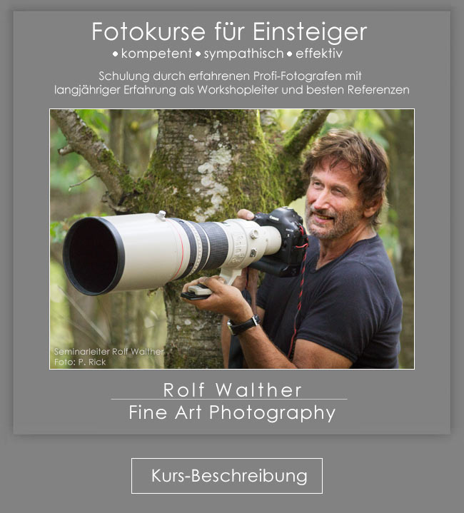 Fotokurse für Einsteiger, mit Rolf Walther, DGPh