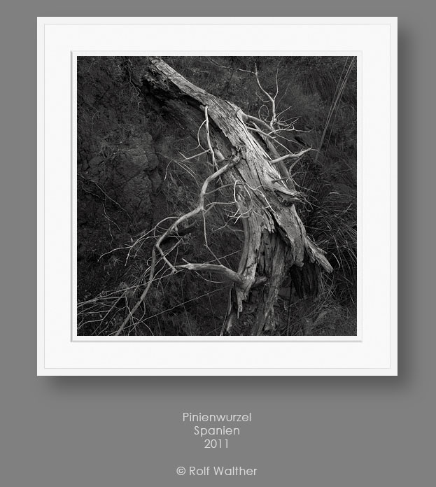 Zur Galerie Schwarzweißfotografie Rolf Walther