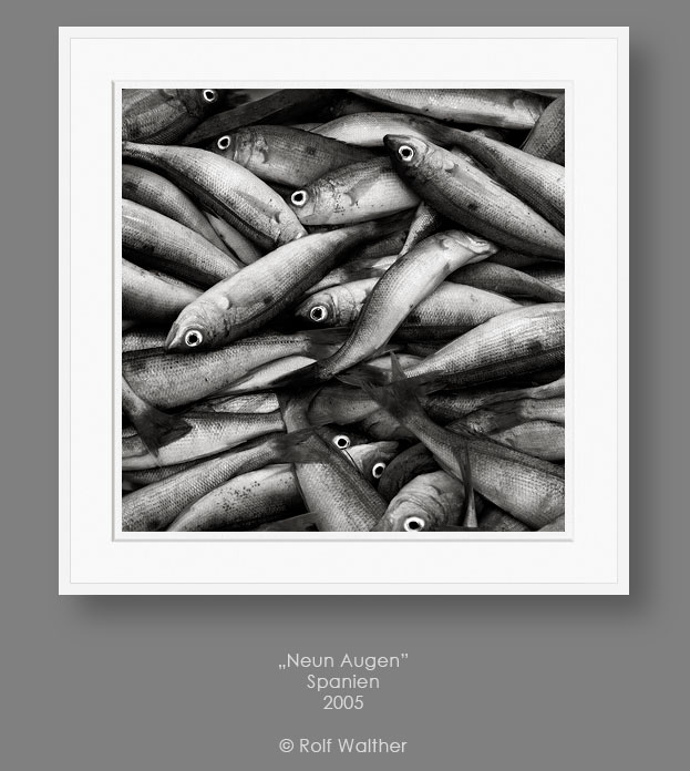 Zur Galerie Schwarzweißfotografie Rolf Walther