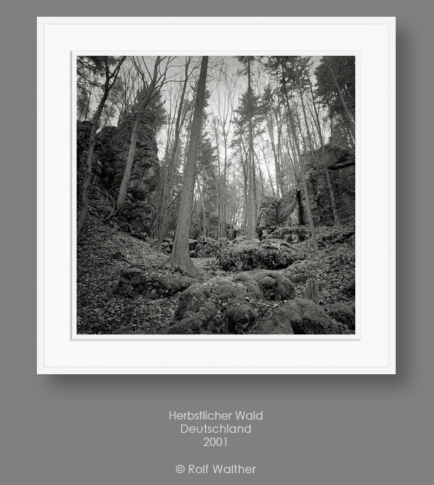 Zur Galerie Schwarzweißfotografie Rolf Walther