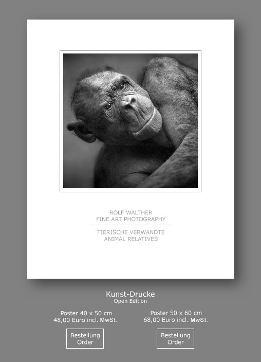 Schwarzweißfotografie, Kunstdruck-Poster, Fotograf: Rolf Walther