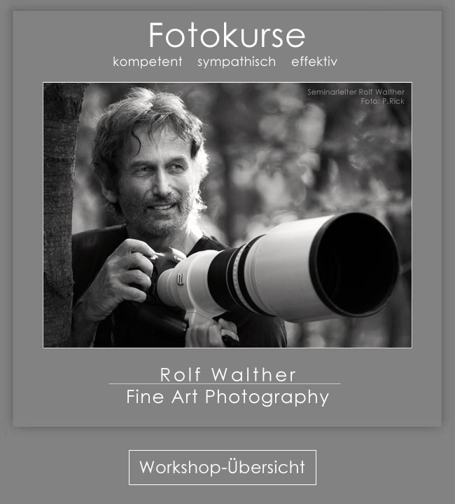 Fotokurse mit Rolf Walther, DGPh, Fotokurs Angebot für die anspruchsvolle Fotografie, Schwarzweißfotografie und digitale Bildbearbeitung mit Photoshop