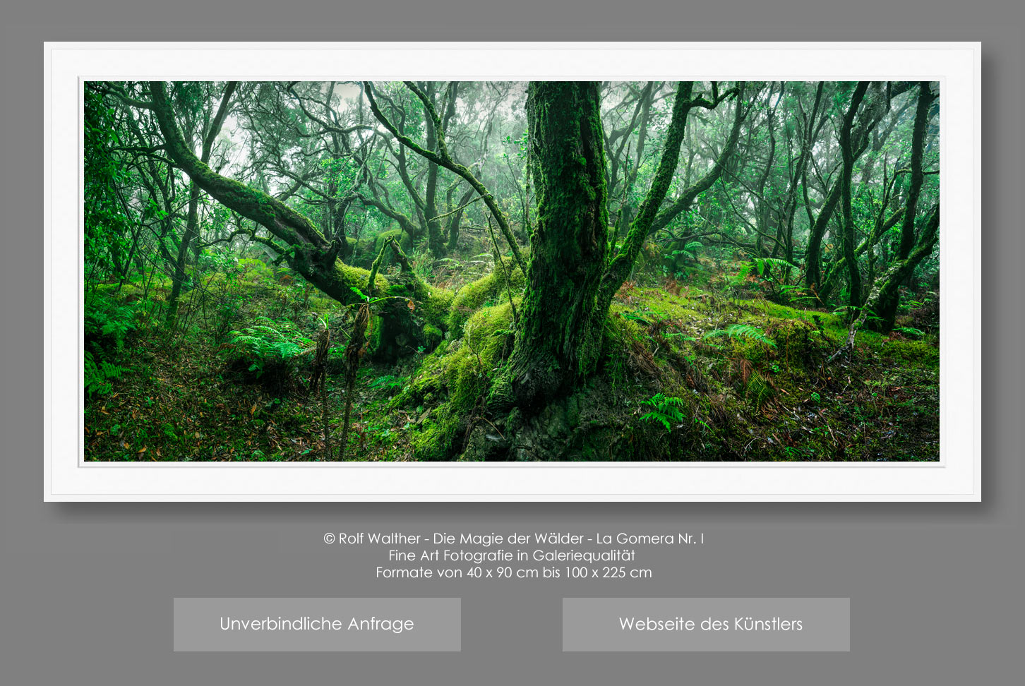 Fine Art Fotografie - La Gomera - Magie der Wälder