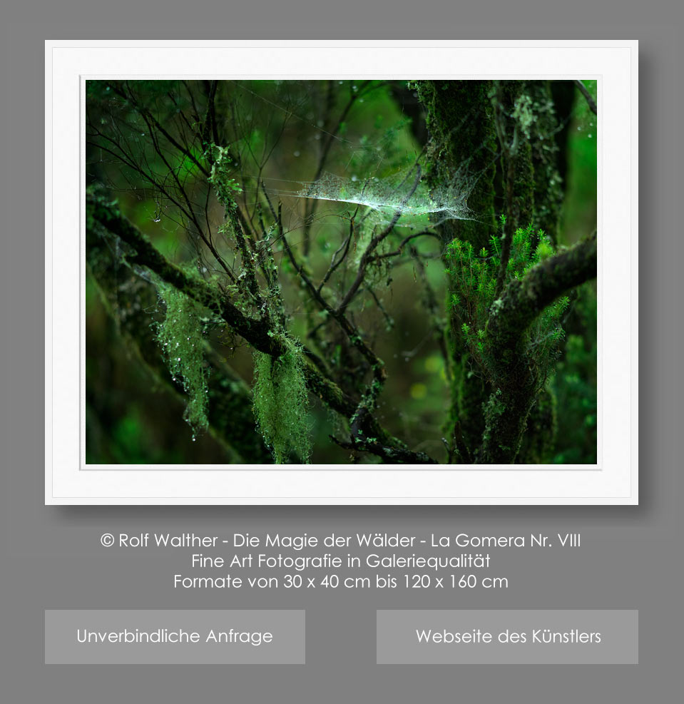 Fine Art Photo La Gomera