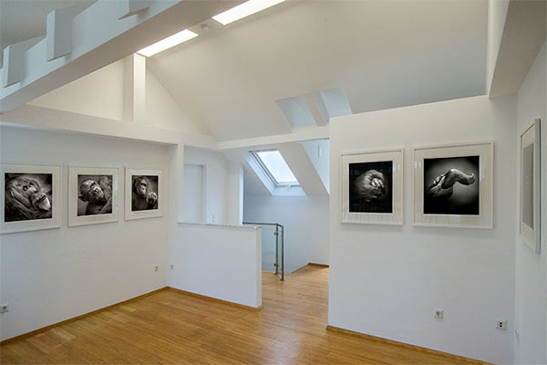 Atelier für Fotokunst Rolf Walther