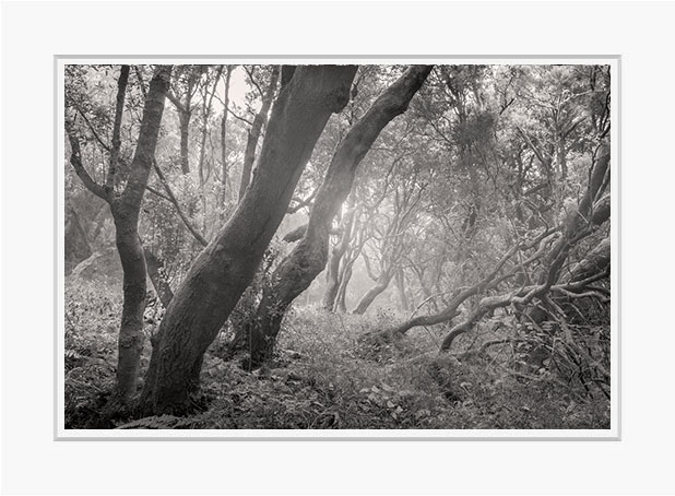 Workshop perfekte Schwarzweißfotografie mit Rolf Walther, DGPh